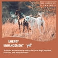 thumbnail image 5 of All American Canine Dog Weight Gainer Food Supplement Topper - 230 Serving ( 5lb ), 5 of 6