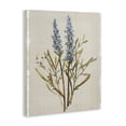 thumbnail image 2 of Stupell Industries Shabby Chic Natural Lavender Sprigs Canvas Art, 16 x 20, by Carol Robinson, 2 of 7