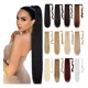thumbnail image 1 of Coleta Postiza Cabello Lacio Caballo Natural Extensiones, 1 of 8