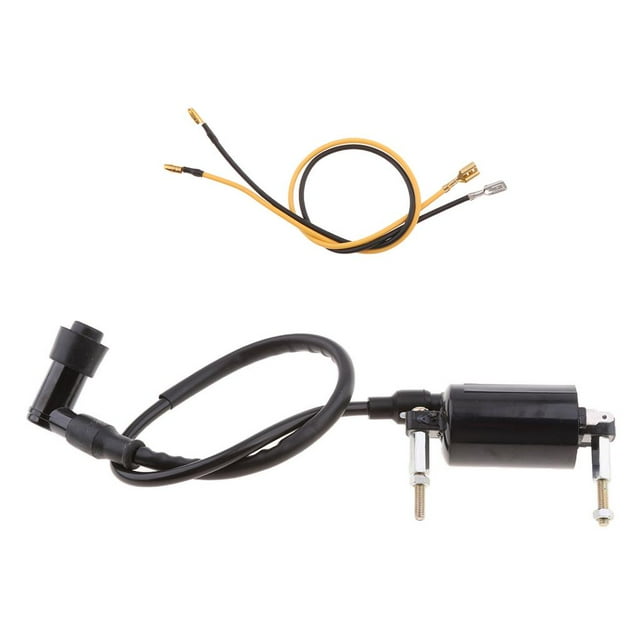 Modelos De ATV Bobina De Encendido De Repuesto Para 300 300 300 86-04 Zulema Bobina de encendido de la motocicleta