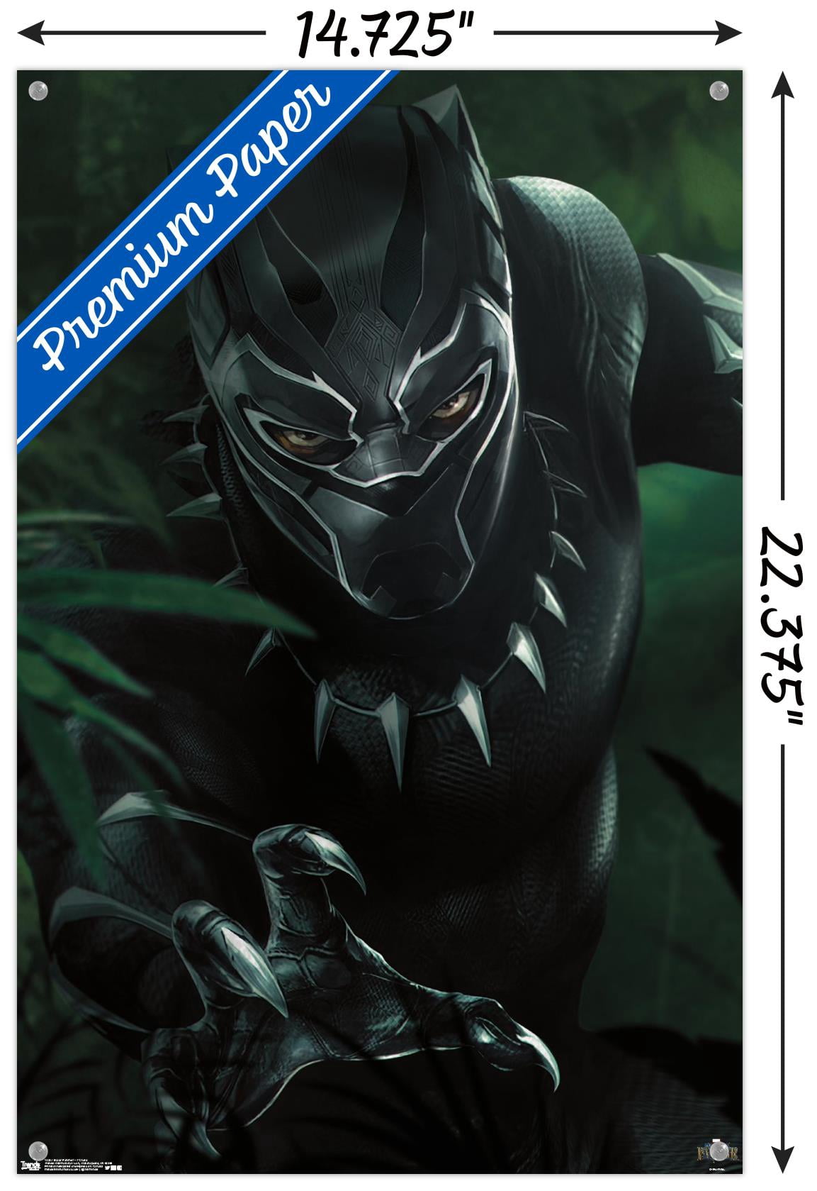 Marvel Cinematic Universe - Black Panther - T'Challa Wall Poster with Push Pins, 14.725" x 22.375"