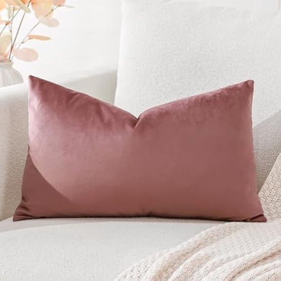 Eryueer Luxury Velvet Cushion Covers Super Soft Decorative Throw Pillow Covers Case Lumbar Cushion Cases for Sofa Couch Bedroom Car Decor 30x50cm Jam