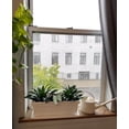 thumbnail image 5 of Myers-itml-akro Mils 18in. Chocolate Venetian Flower Box Trays  SVN18000E21 - Pack of 6, 5 of 5