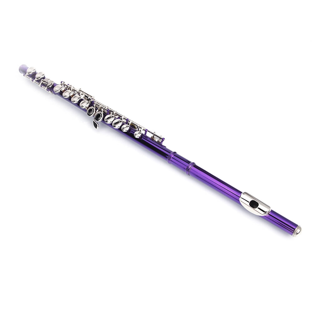 Cupronickel C 16 Closed Holes Concert Band Flute Purple