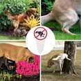 thumbnail image 3 of LAMIRO Keep Puppies Off Lawn-Lawn Dog Manure Sign|Park Dog No Pooping Respect Signs|Curb Your Pets Grass Stakes|Outdoor Respect No Poop Dog Signs|Funny Decoration|Keep Off The Grass Stakes, 3 of 7