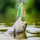 thumbnail image 2 of 6 Piezas de SeñUelos de Pesca, Cebos Spinner Swim Flipping Bladed Jigs, Chatter Fish Bait para SalmóN Lucio Trucha Swing Trailers, 2 of 10