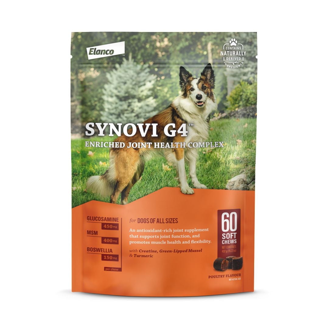 Synovi G4 supplément articulaire à mâcher pour chiens de tous âges, tailles et races