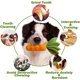 thumbnail image 3 of Squeaky Chew Toys for Dogs, Durable Natural Rubber Carrot Dog Toys, Teeth Cleaning Toy for Medium and Large Puppies (Yellow), 3 of 5