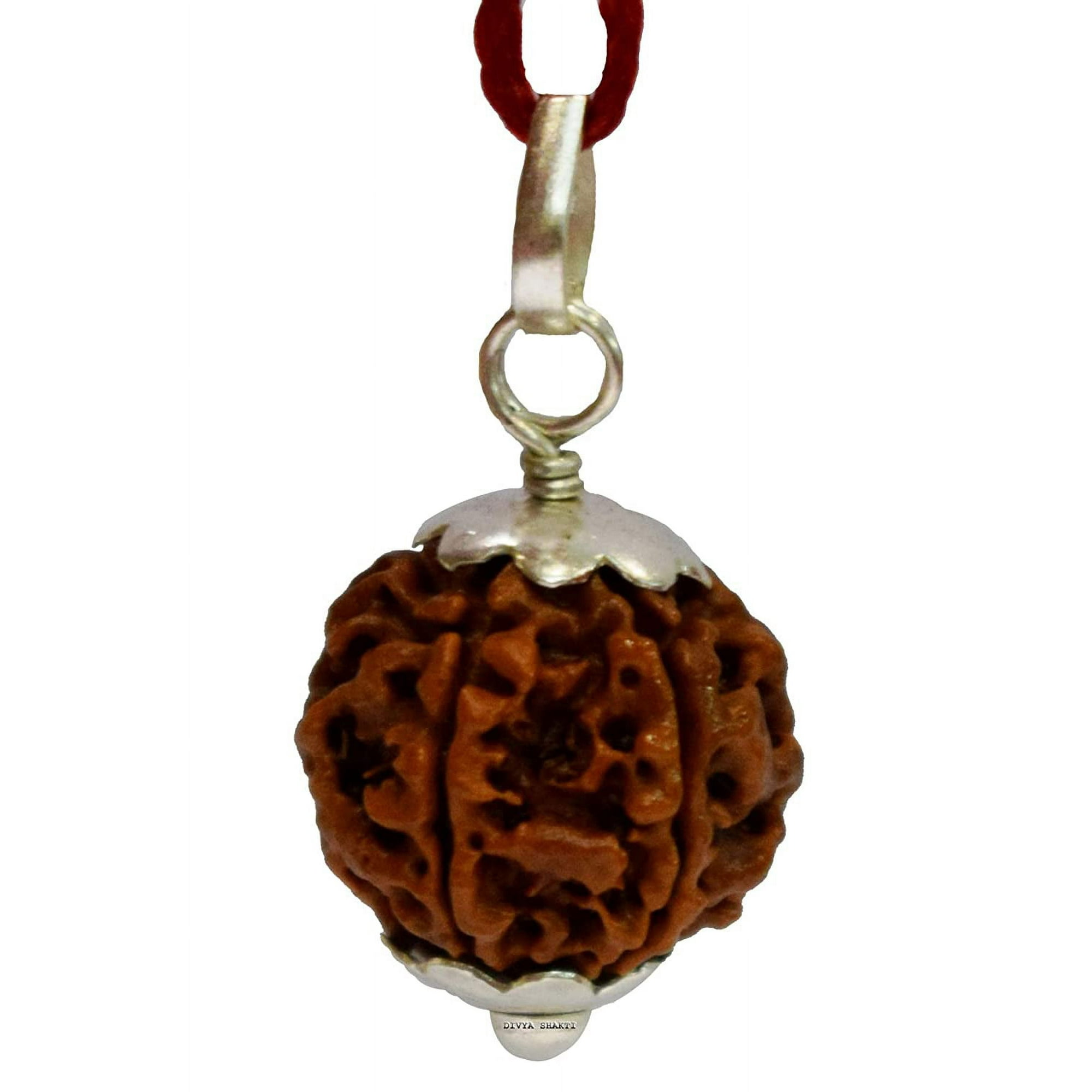 Divya Shakti 13 Mukhi Nepali Rudraksha Silver Pendant (20mm) - For Wealth & Spiritual Blessings