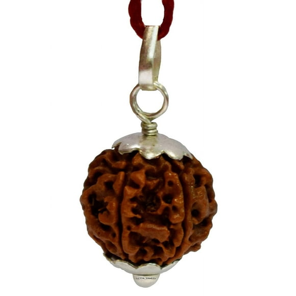 Divya Shakti Cinq Visages / 5 mukhi Nepali Rudraksha Pendentif Argent pour Hommes et Femmes (20 Mm)