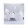 thumbnail image 2 of Plastic Incline Design Double Bowl Feeding Pet Dog Cat Food Water Dish, 2 of 4