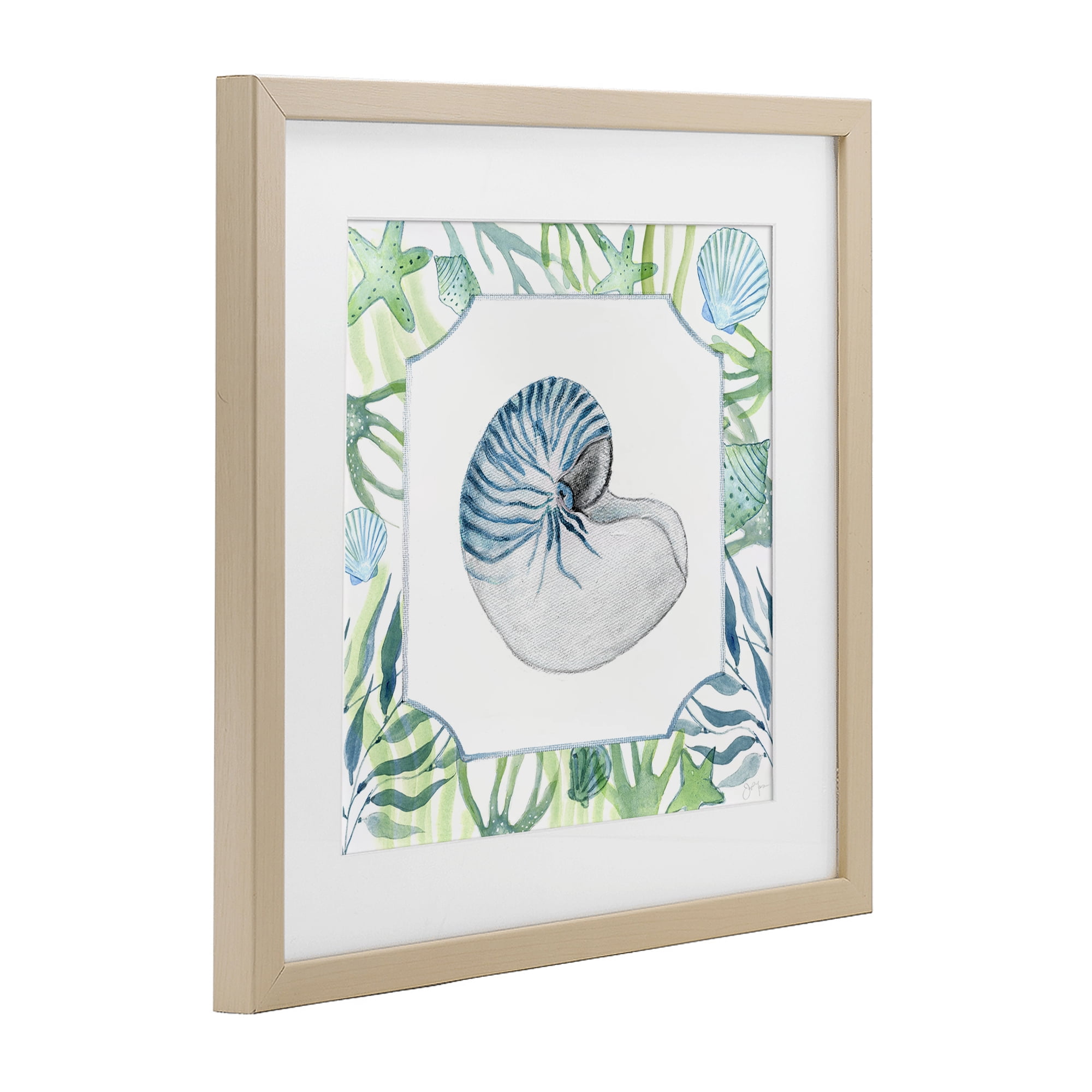 Stupell Industries Seaweed & Seashells Aquatic Birch Framed Print Under Glass, design by Janet Tava