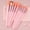 Multicolor-D, variant on LEBONYARD 13 Pcs Soft Fiber Makeup Brush Set, Daily Use Cosmetic Tools with Flannel Storage Bag