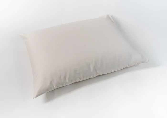 100% Organic Cotton filled Pillow with Cotton Cover - Made in the USA, Queen/Standard Size Regular Loft Pillow, Pike's Brand