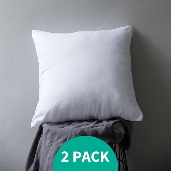 24x24 Down Feather Throw Pillow Inserts 2 Pack - Premium Soft Cotton Euro Square Decorative Pillow Core Set for Bed Sofa Couch Ivory White