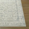 thumbnail image 5 of Livabliss x Nabela Noor Home Athiyo Printed Vintage Area Rug,2' x 2'11",Sky Blue, 5 of 9