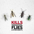 thumbnail image 2 of Raid Essentials Flying Bug Insect Killer Spray, for Indoor Use, 2 of 9