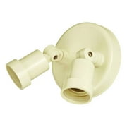 Acclaim Lighting Floodlights 2 Light Outdoor Light Fixture
