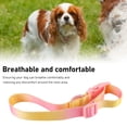 thumbnail image 3 of Collar de perro elegante collar de perro colorido para caminar al aire libre ANGGREK  Otros, 3 of 8