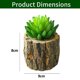 thumbnail image 2 of 2 uds. Maceta de madera de simulación, planta en maceta suculenta, decoración creativa para el hogar, simulación de planta suculenta, flor de simulación, 2 of 5