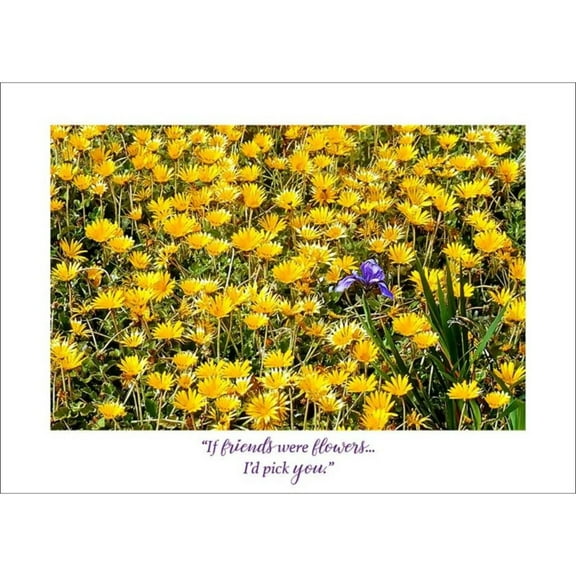 Floral Friendship Card- Blank Interior