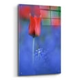 thumbnail image 2 of Epic Art 'Tulip No 3' by Istvan Nagy, Acrylic Glass Wall Art, 24"x36", 2 of 8