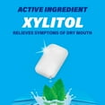 thumbnail image 6 of ACT Dry Mouth Moisturizing Gum With Xylitol, Soothing Mint, 20 ct., 6 of 12