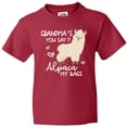 thumbnail image 3 of Inktastic Grandma's You Say Alpaca My Bags Youth T-Shirt, 3 of 5