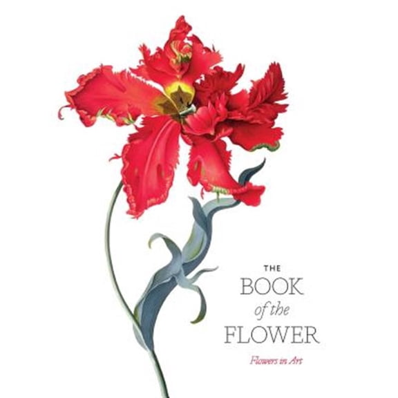 Pre-Owned The Book of the Flower : Flowers in Art (Paperback)