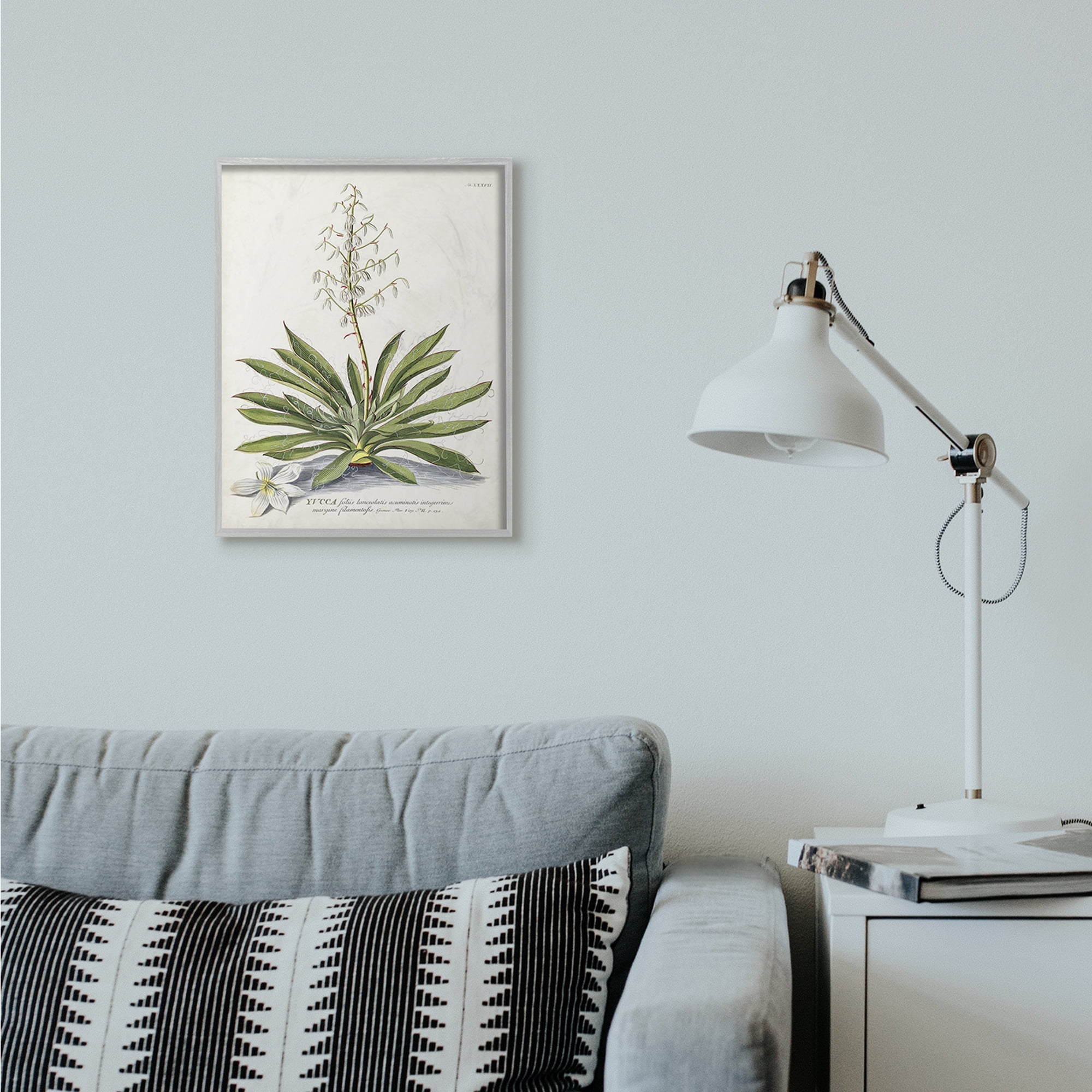 Stupell Industries Botanical Plant Illustration Ferns Vintage Design Framed Wall Art by Unknown