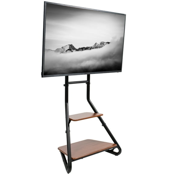 Floor Stand TV Mounts