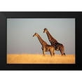 thumbnail image 2 of Anonymous 24x17 Black Modern Framed Museum Art Print Titled - African Skies II, 2 of 5