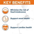 thumbnail image 4 of Forza10 Wet Cat Food Kidney Renal Support, Lamb Flavor, for Adult Cats 3.5oz, 32 Pack, 4 of 14