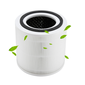 Home Air Purifiers