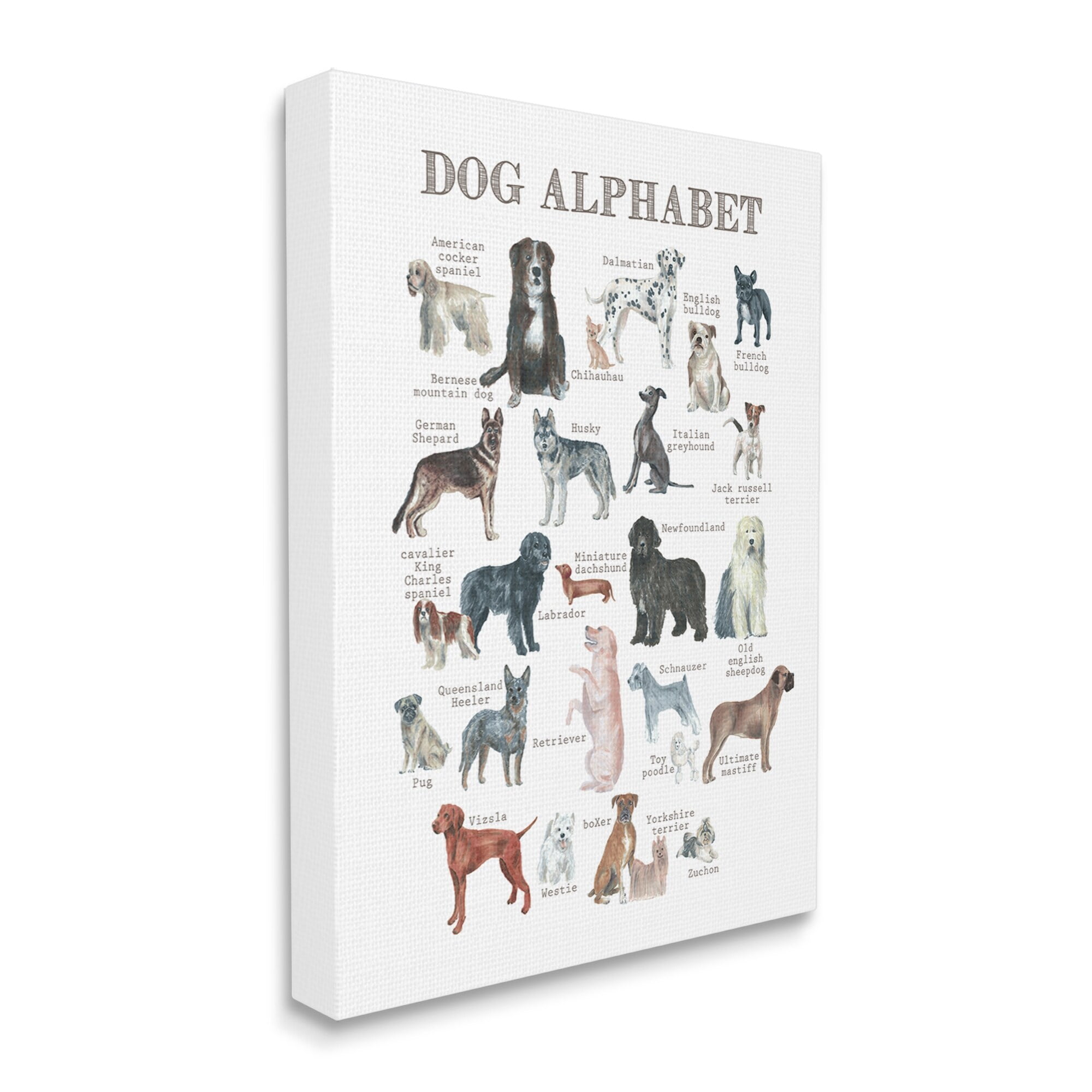 Stupell Industries Dog Alphabet Multiple Breeds Educational Animals Chart Graphic Art Gallery Wrapped Canvas Print Wall Art, Design by Dishique