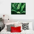 thumbnail image 5 of ONETECH Tropical Plant Green Leaf Wall Art Boho Botanical Palm Picture Wall Decor Minimalist Monstera Canvas Poster Painting Artwork for Bedroom Living Room Bathroom Bedroom Office Home Decoration, 5 of 5
