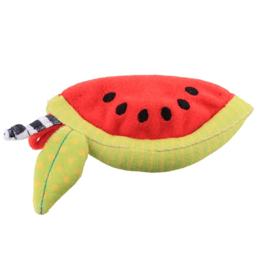 Sassy Freeze & Teethe Watermelon Teether