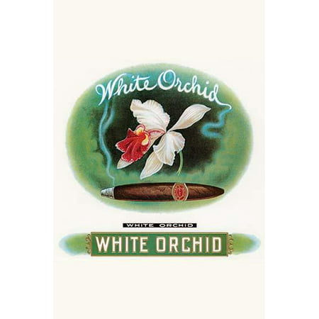 A vintage cigar label selling cigars under the brand name White Orchid Poster Print by