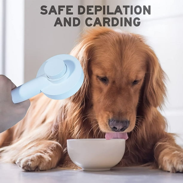 Dog food hot sale for shedding hair
