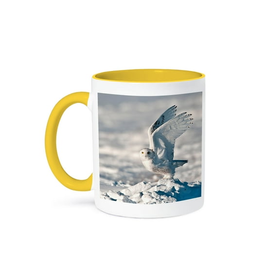 3dRose, USA, Minnesota, Vermillion. Snowy Owl taking off from snow., 11oz Two-Tone Yellow Mug