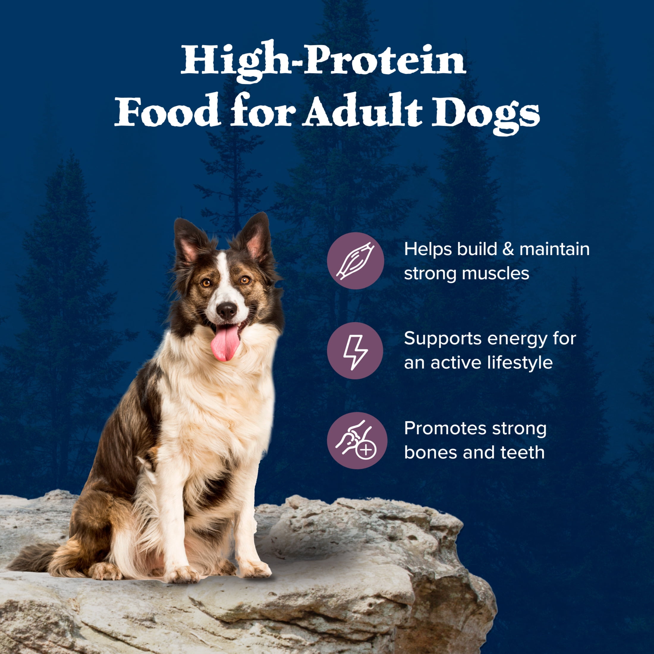 Blue Buffalo Wilderness Natural Dry Dog Food, High-Protein, Bison & Whole Grains, 28-lbs.