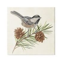 Stupell Industries Bird Perched on Pine Animals & Insects Painting Gallery Wrapped Canvas Print Wall Art, 36 x 36