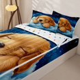 thumbnail image 3 of Homewish Kawaii Golden Retriever Zipper Twin Comforter Sets with Fitted Sheet and 2 Pillowcases,Cartoon Pet Dog Zipper Bedding Set,Blue,Polkadot Reversible,4pcs, 3 of 8