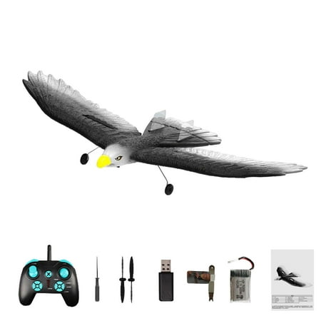 RC Glider 2 Channel Eagle RC Plane Radio Control Jet Plane for Adults ...