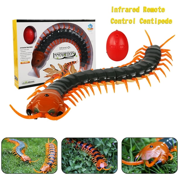 Centipede
