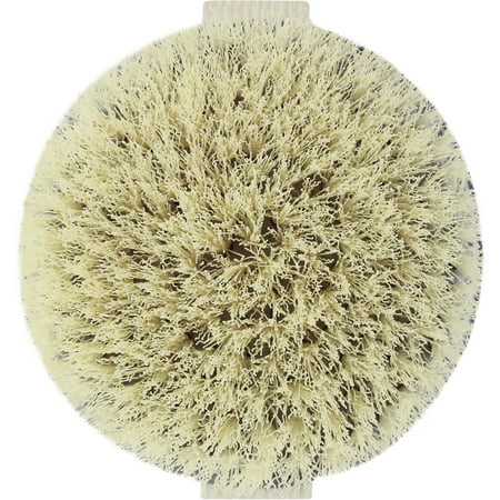 EcoTools Dry Body Brush (Best Body Brush For Cellulite Review)