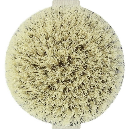 EcoTools Dry Body Brush (Best Dry Body Brush)