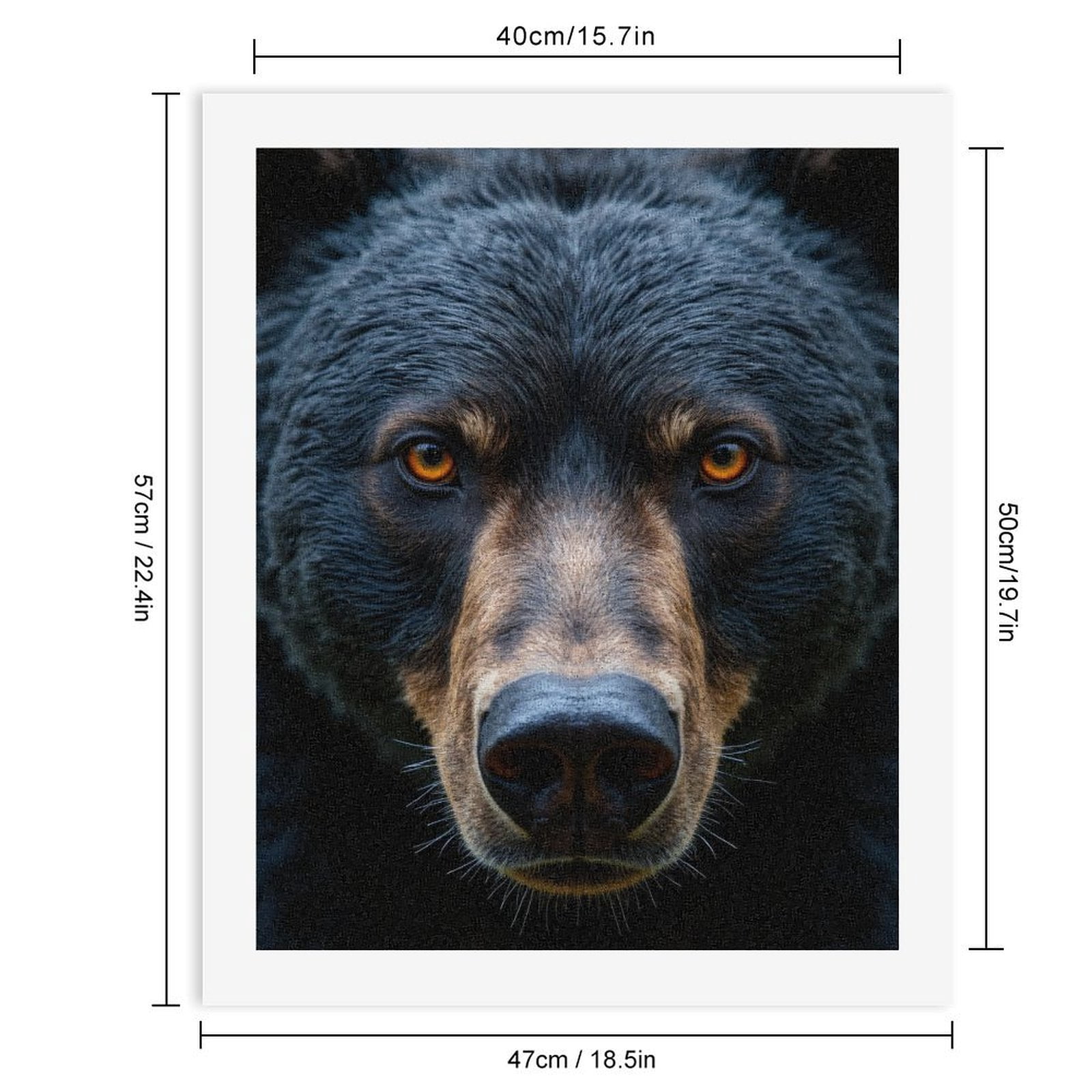Paint by Numbers Kit for Adults, Bear Staring Intense Eyes Closeup Paint by Numbers, Easy Paint by Numbers Kit for Adults Beginner, DIY Adult Paint by Number Kits on Canvas, Home Decor