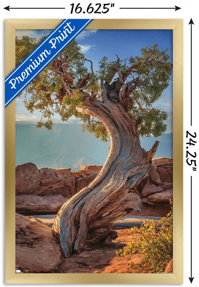 Beth Sheridan - Dead Horse Point Wall Poster, 14.725" x 22.375", Framed