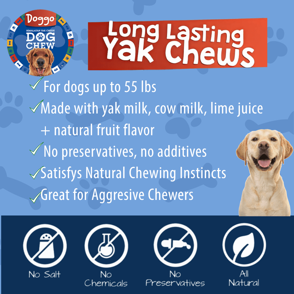 Doggo Dog Chew Natural Strawberry Flavor Yak Chews for Dogs, Long-Lasting, Large, 1 Pound, 5 Pieces